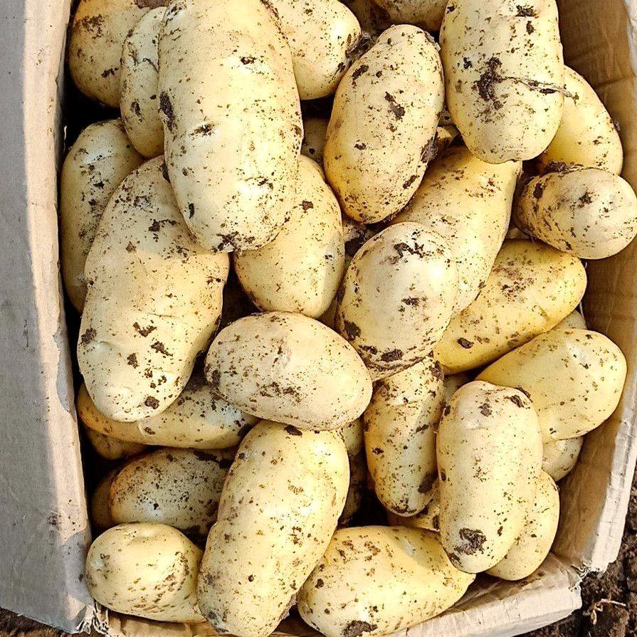 长生源瓜果购销