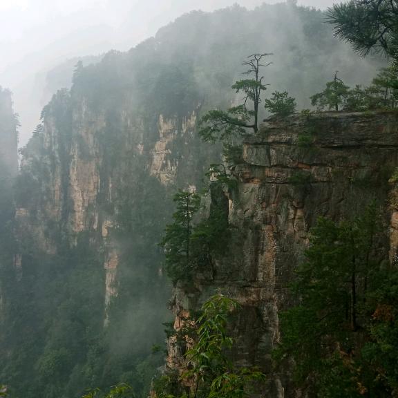 为了共同的爱好走在一起