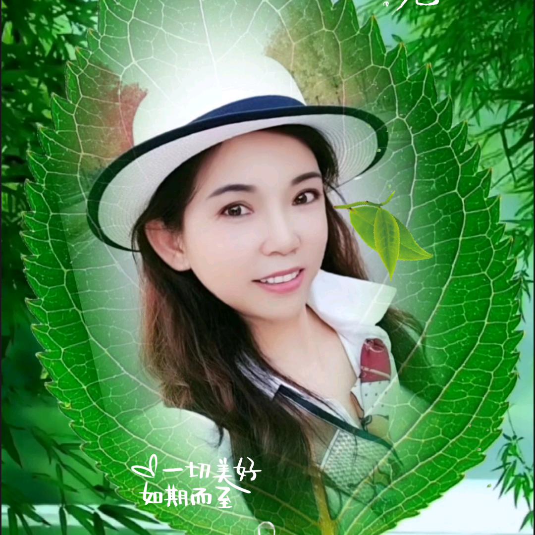 明月小铺