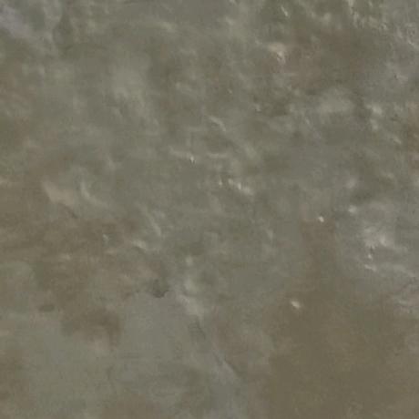 与珺同寝