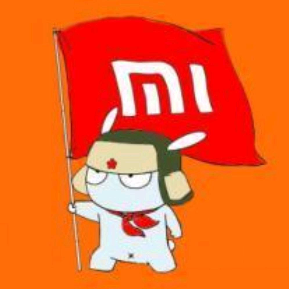 小米之家光明路店