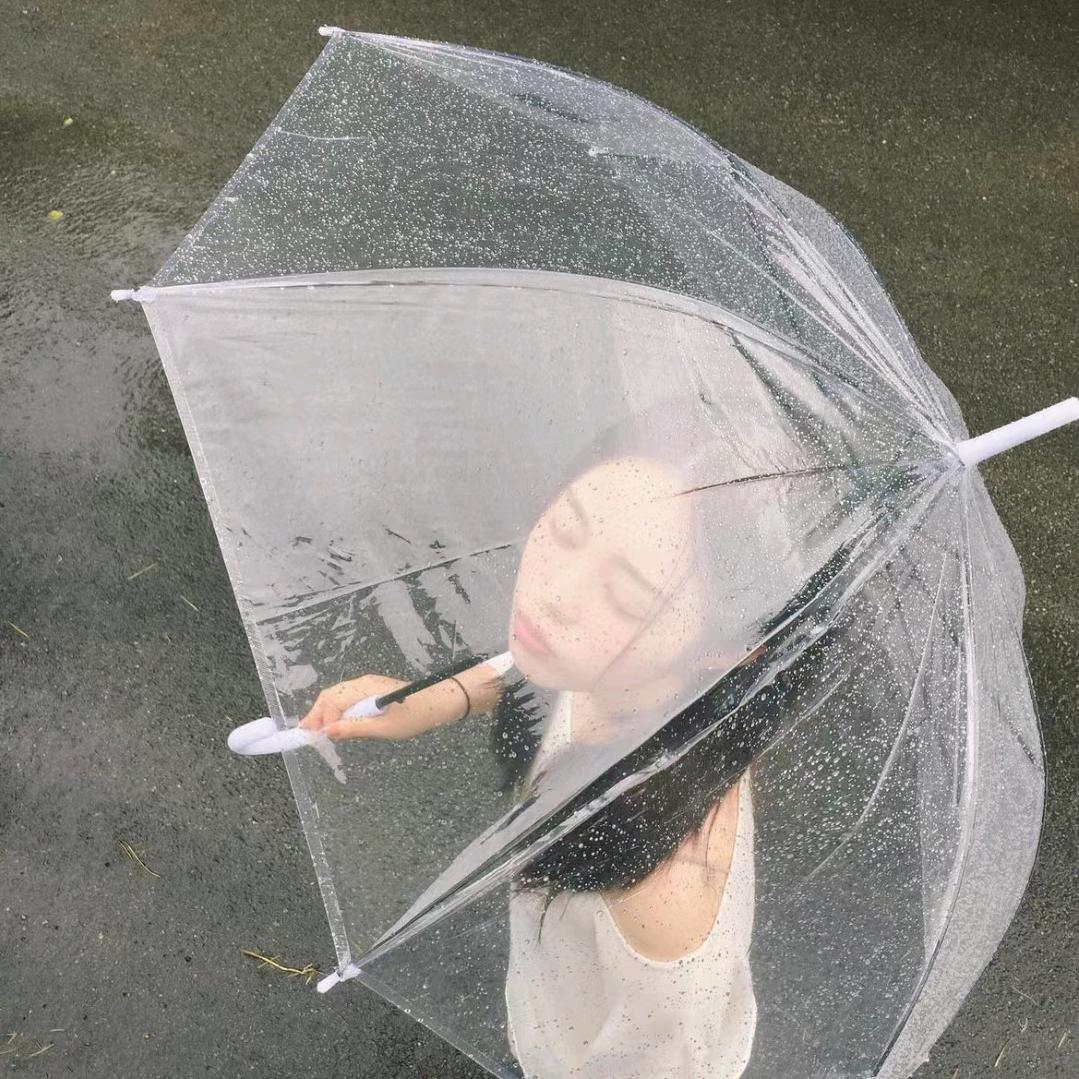 花小懒