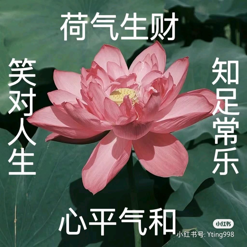 不懂车的上海阿姨