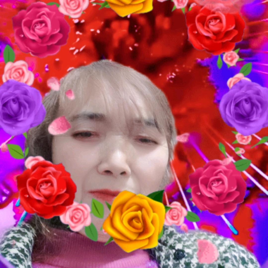 芯宇