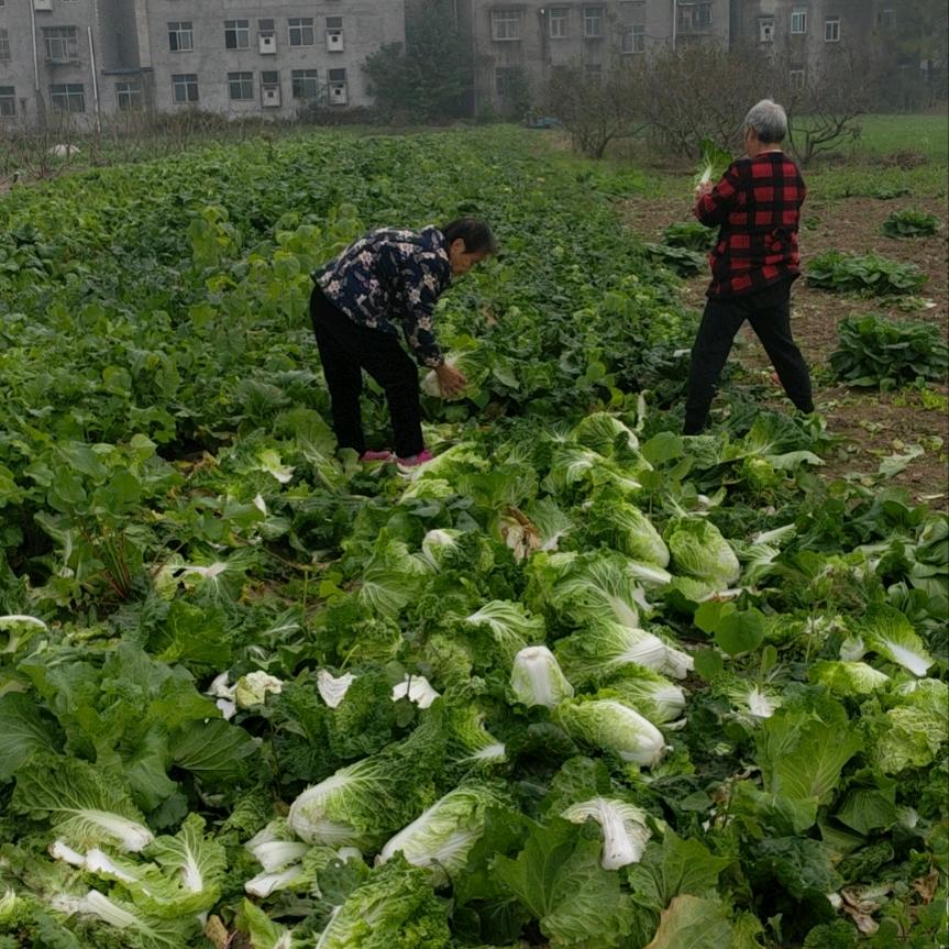 开开心心每一天