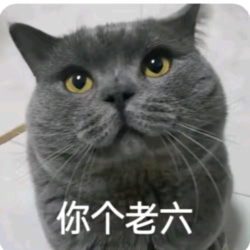 乌烟瘴气
