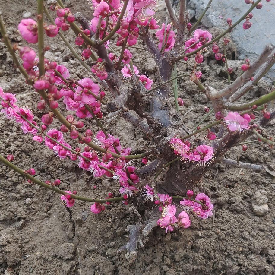 好人有好报，，，，，，