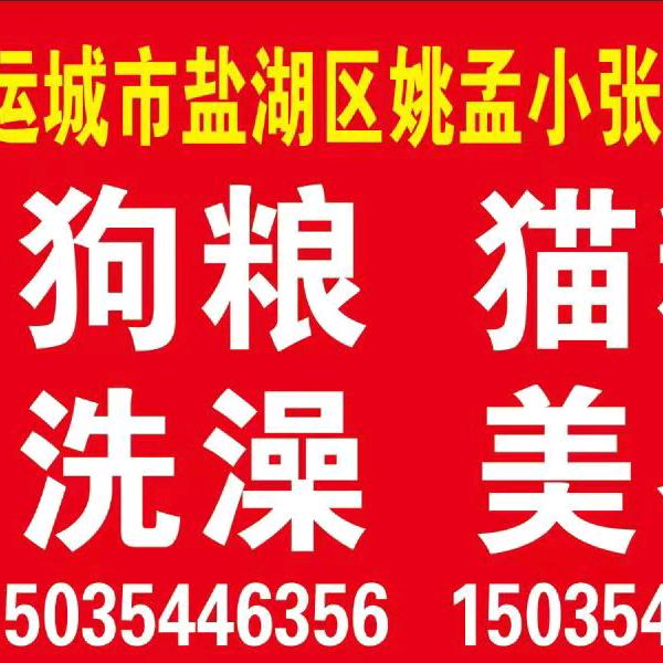 小张宠物店