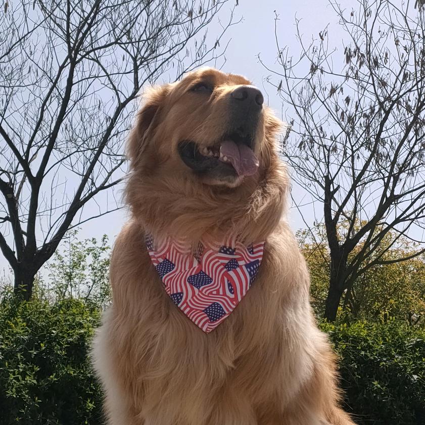 坏蛋女人👩🏻