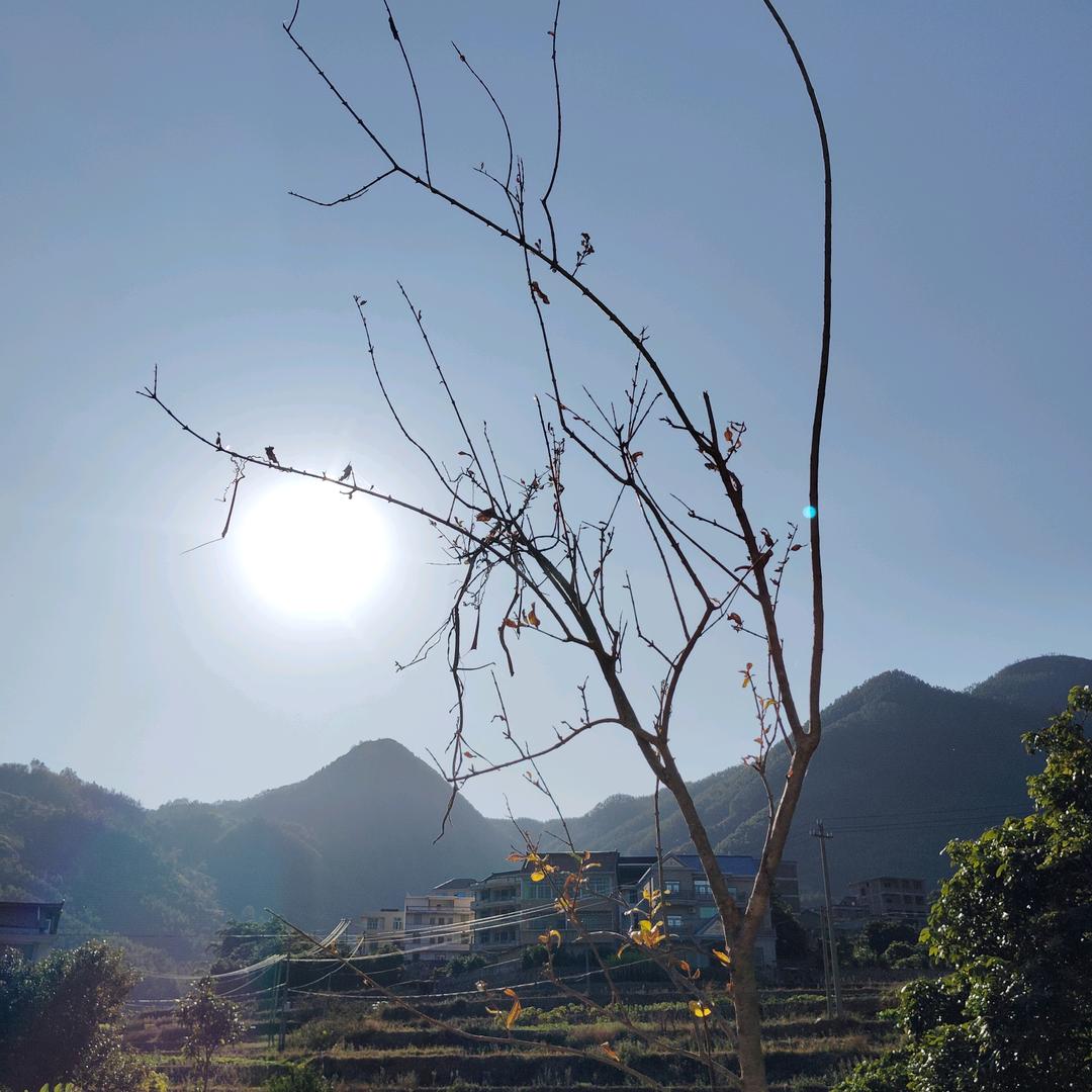 天    空