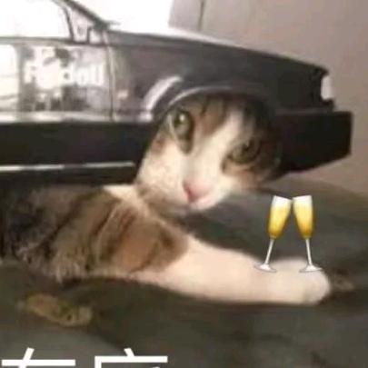 我在车底