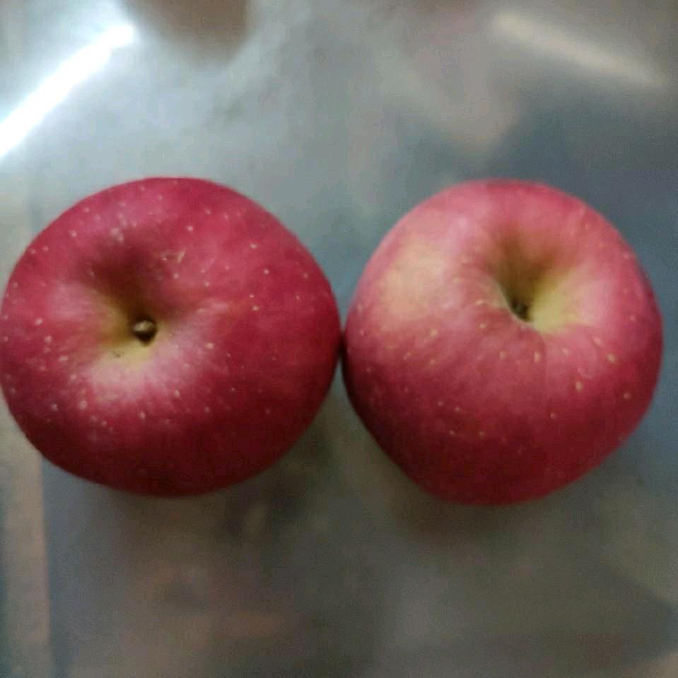 韦革