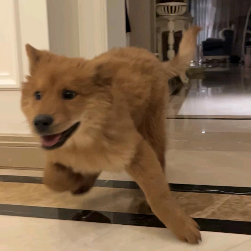 小镇退休老干部