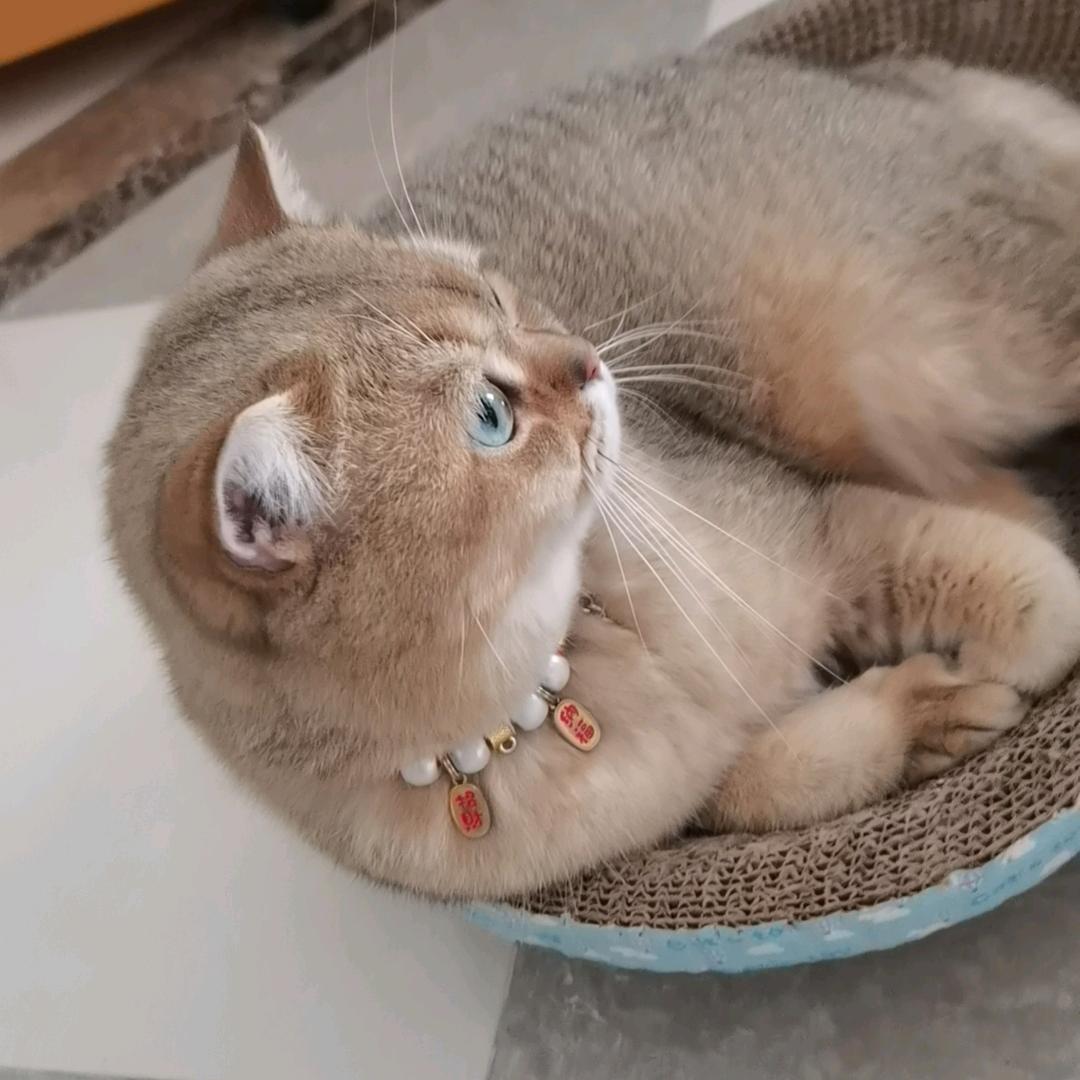 林林一