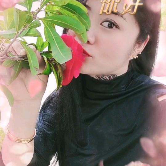 玲姐💃