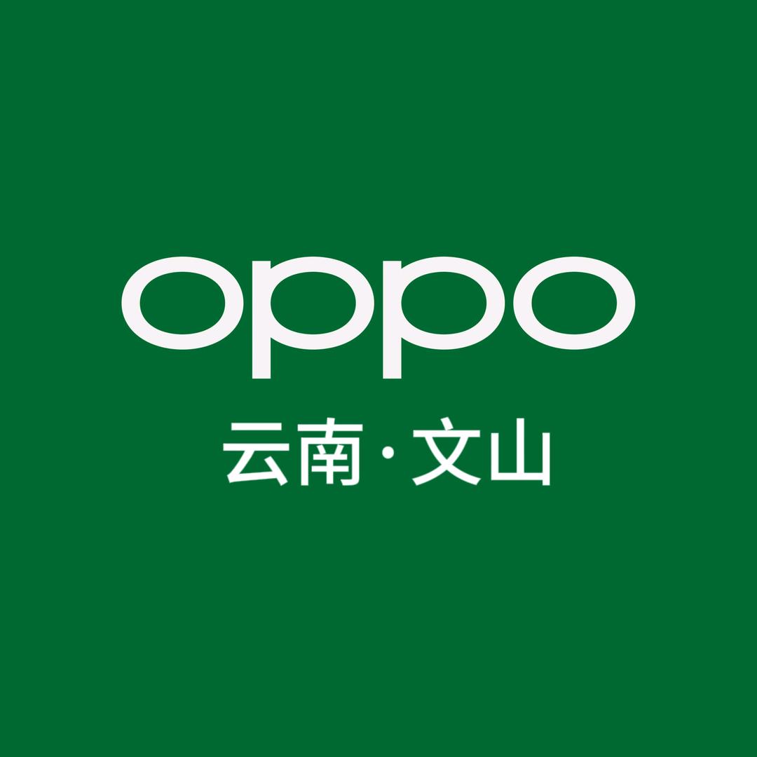 OPPO文山平远授权体验店