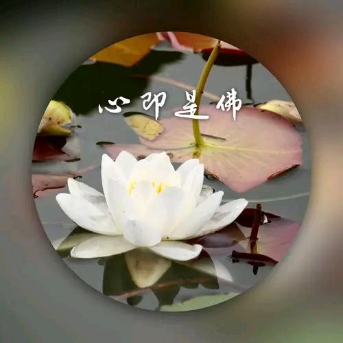 祈福