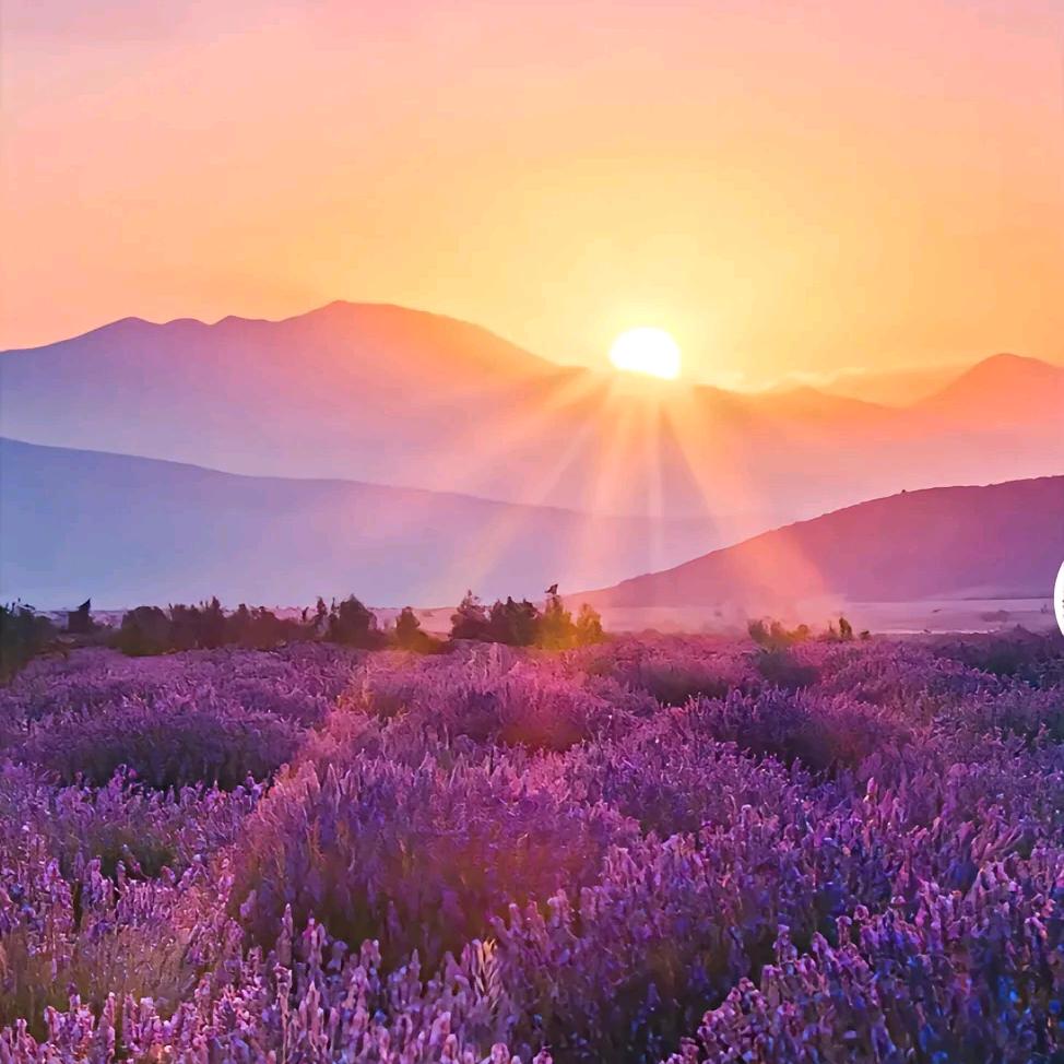 沉鱼落雁反派中路顶级法师