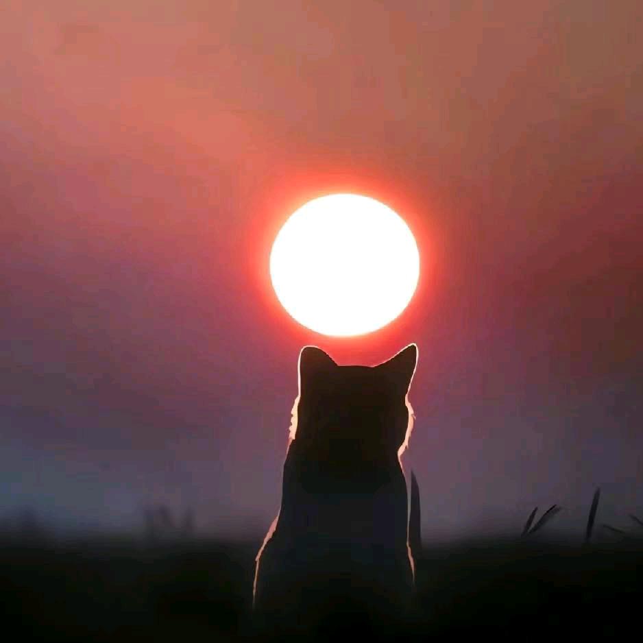 成