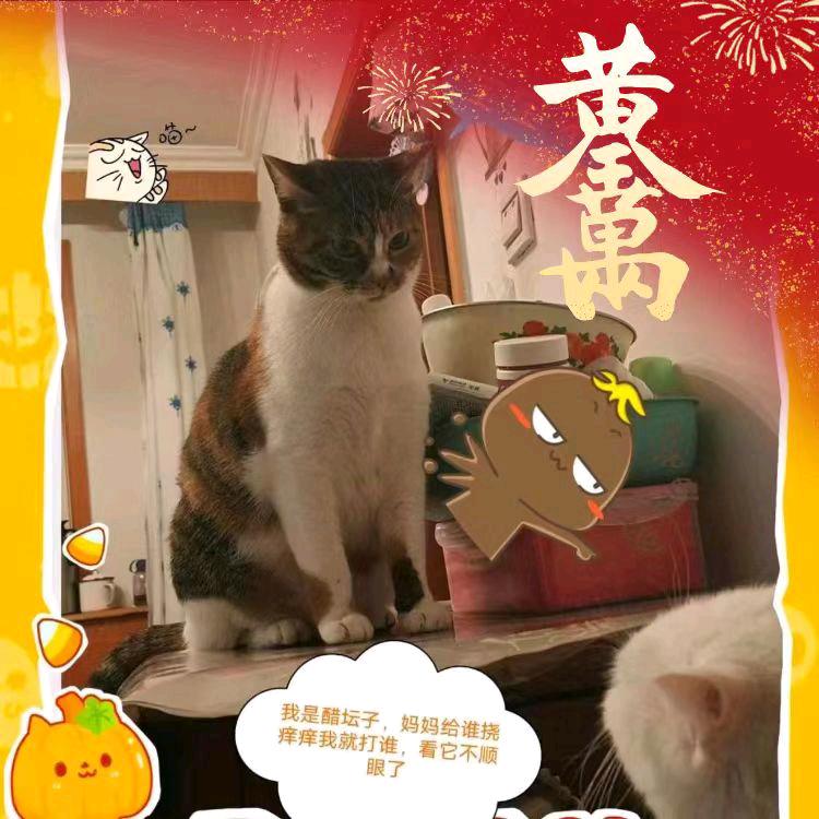 沐儿
