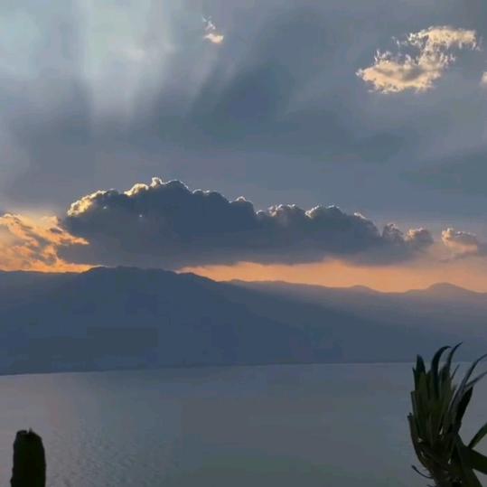 袁和丹💤💤💤👍👍