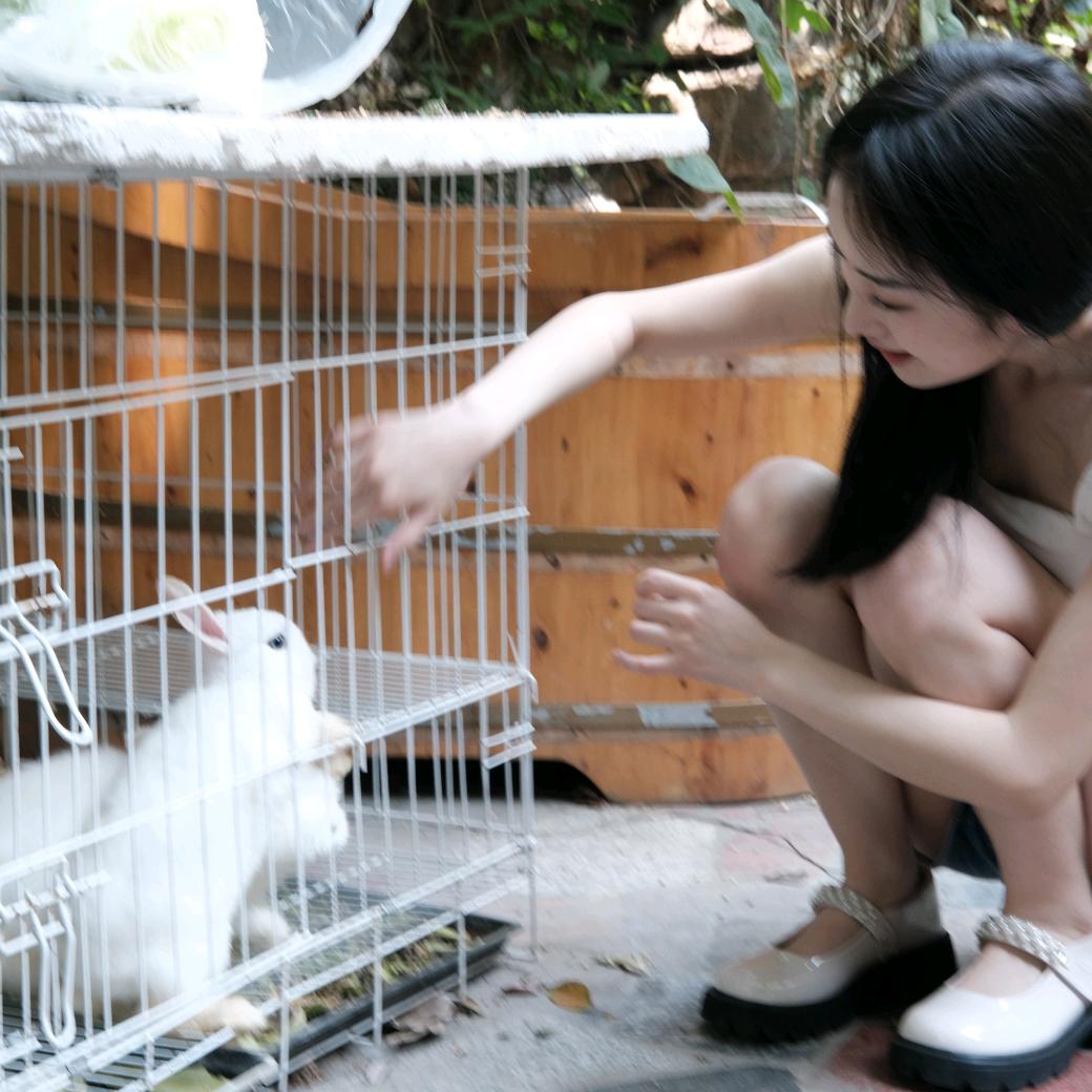 史小叶
