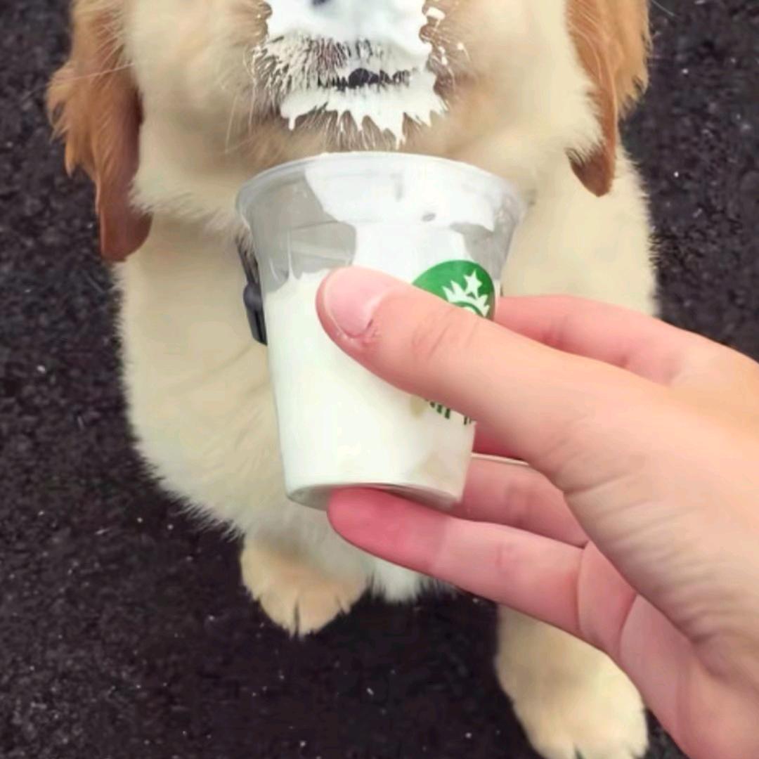 ▼・ᴥ・▼我惯的
