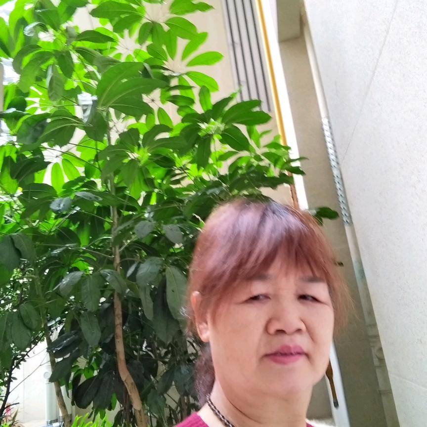 阿珍