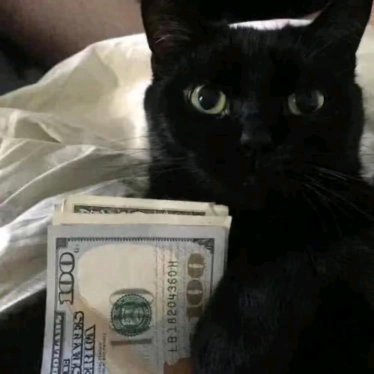 Boss狀๑.