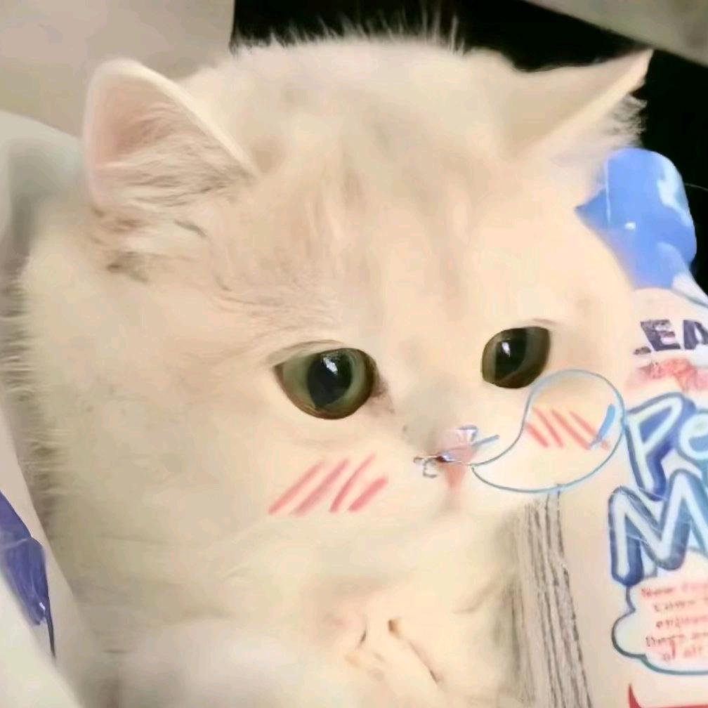 偷偷哭泣ᵒ