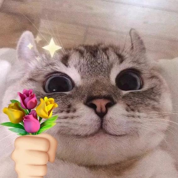 🥂氦有一丝李汁🥂