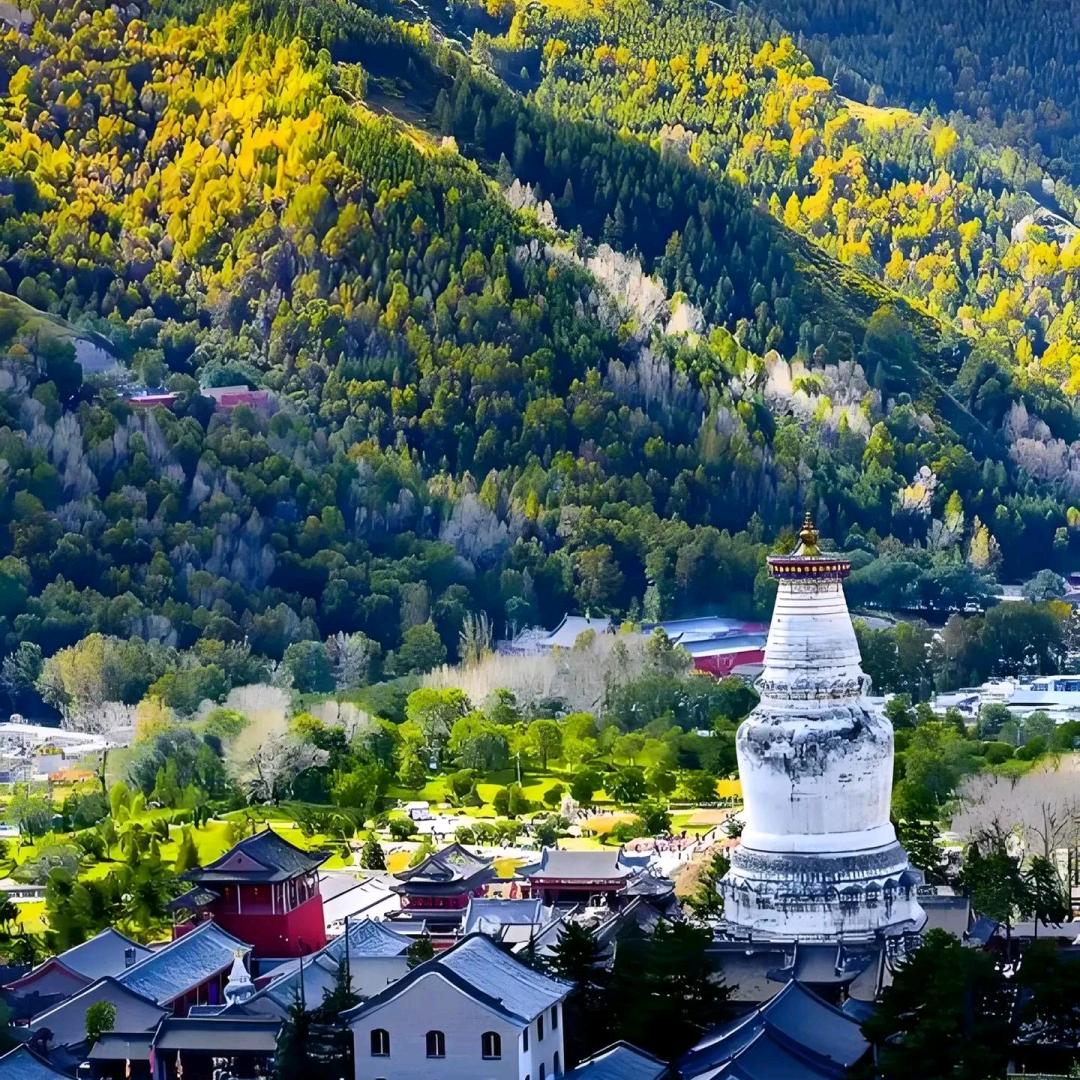 🚗货真价实🛫