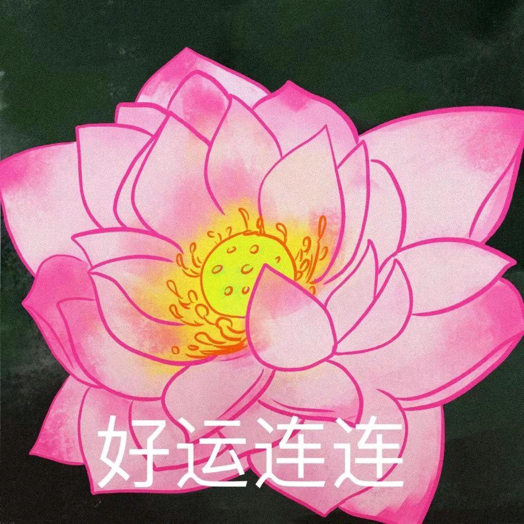 老戴脾气不好2.0