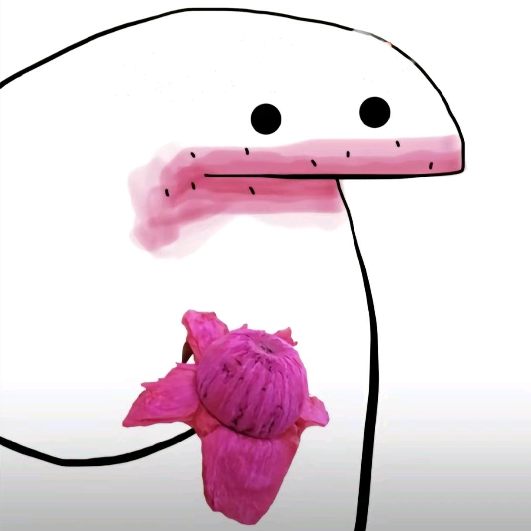 zvemim9