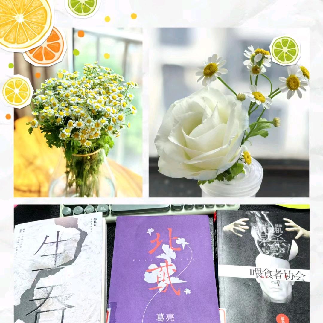 花于書