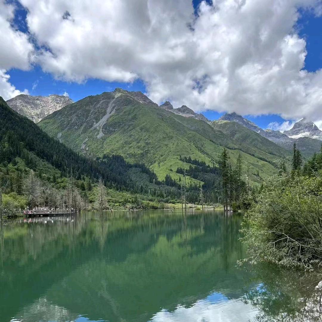 英子姐好物分享