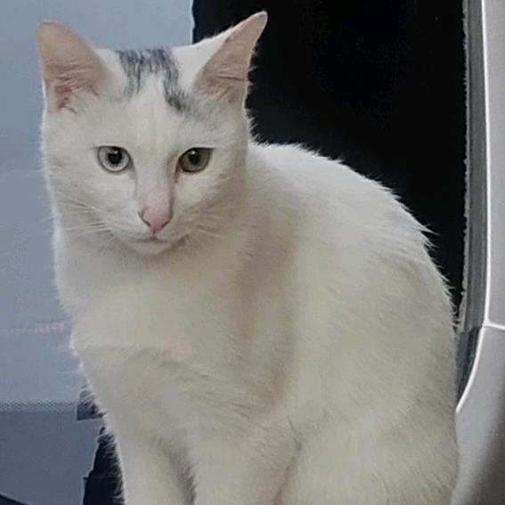 星辰的优选好物