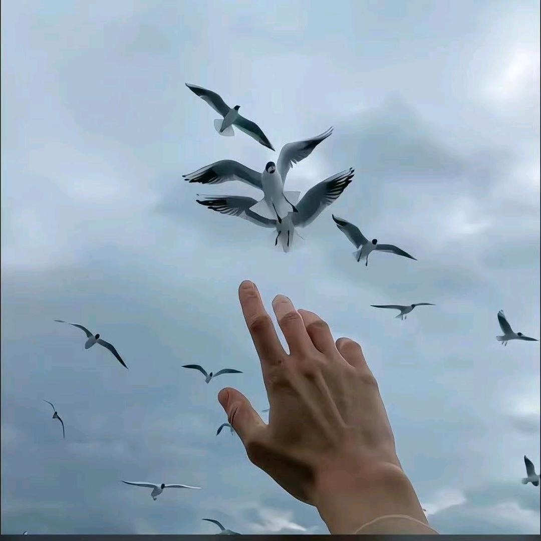 所谓的无所谓