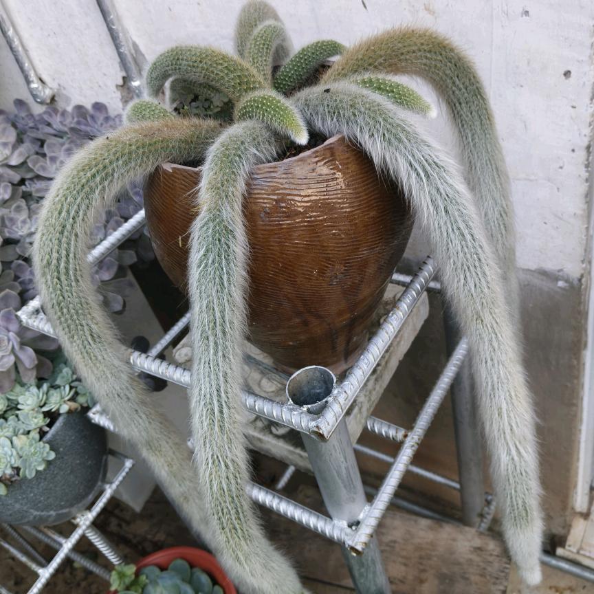 ★以后*的*以后★