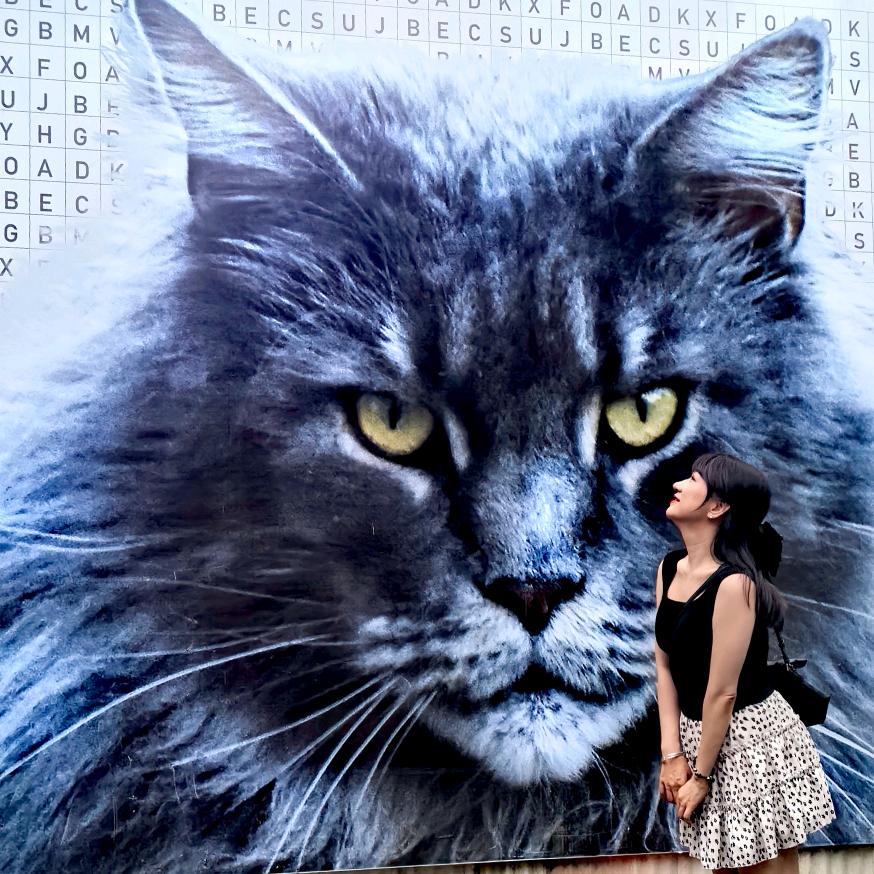 托马斯的猫