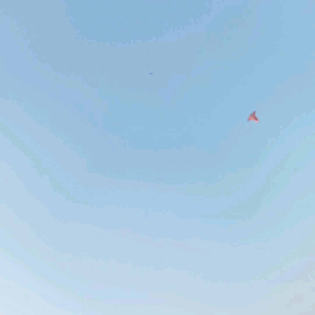 朱教官