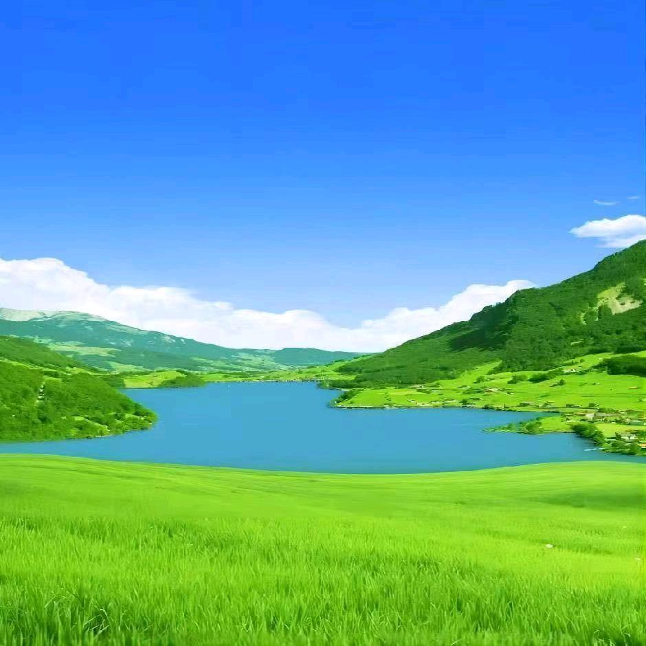 心灵的美妙旅程