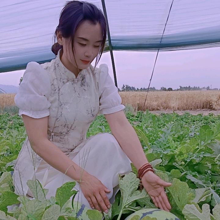 麦田里的守望者