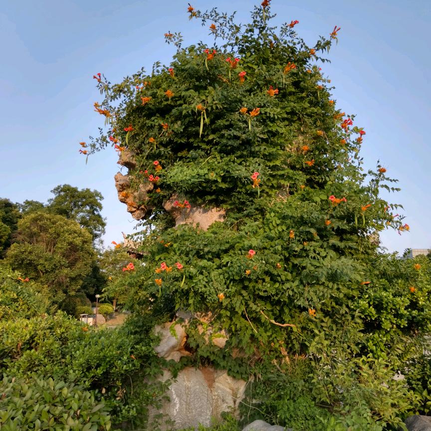 丢掉烦恼
