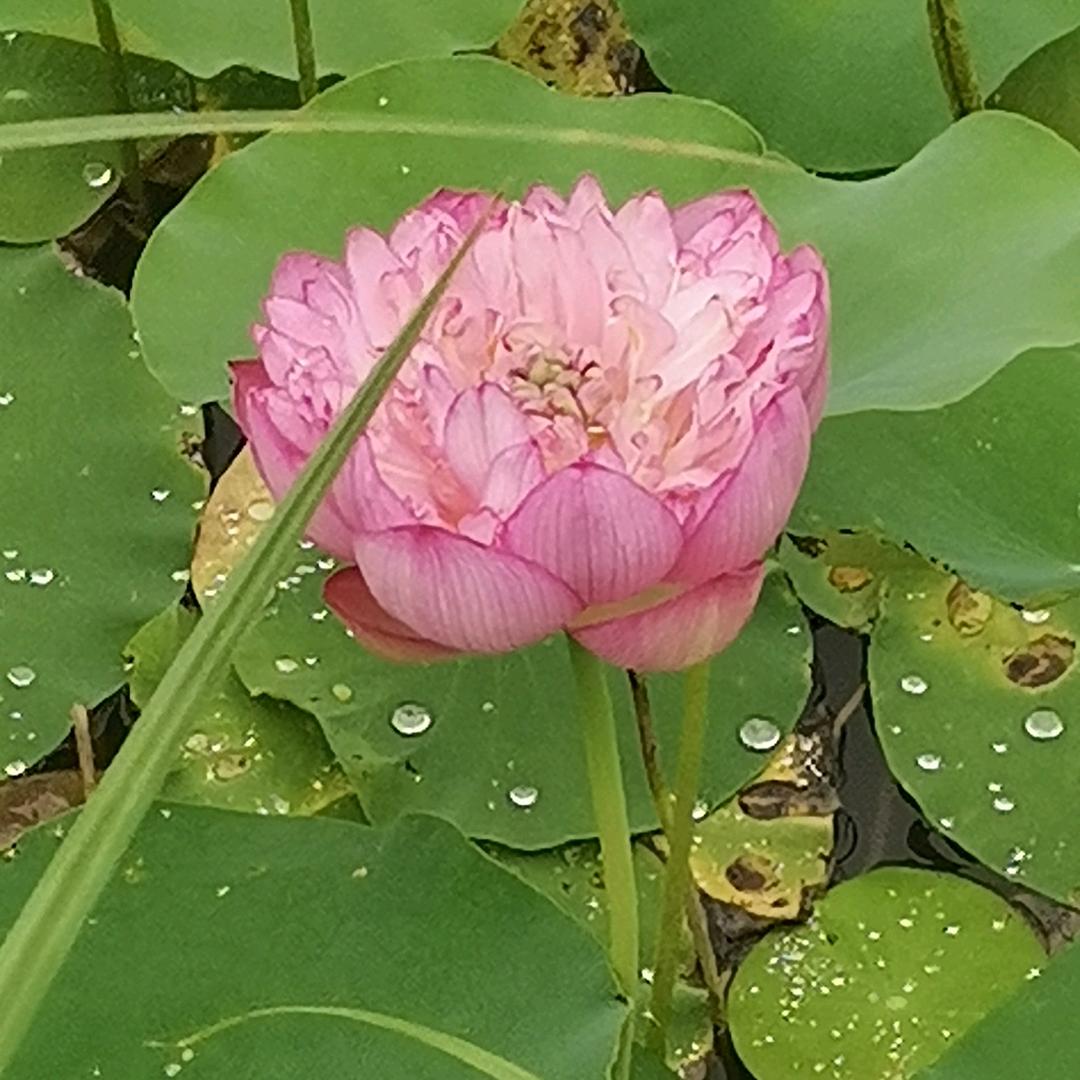 ✨萬事✨随缘✨