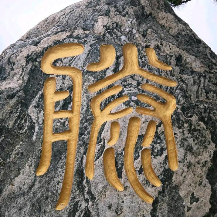 大舜之页