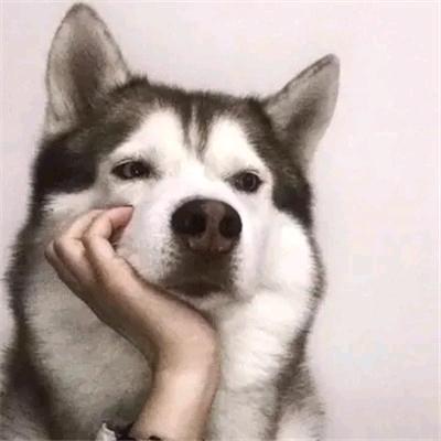 幼儿园抢饭第一名(❁´◡`❁)*✲ﾟ*