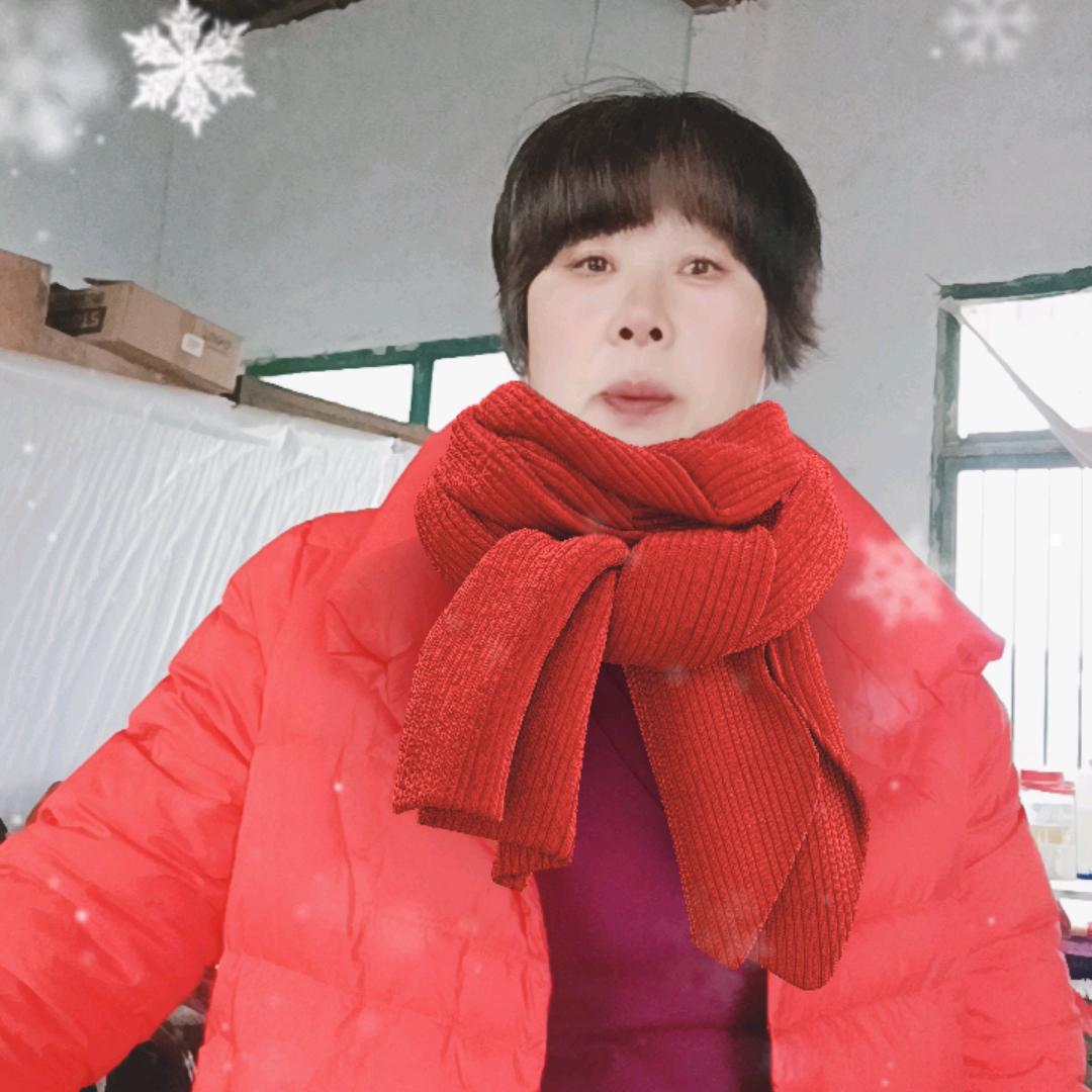 菊姐