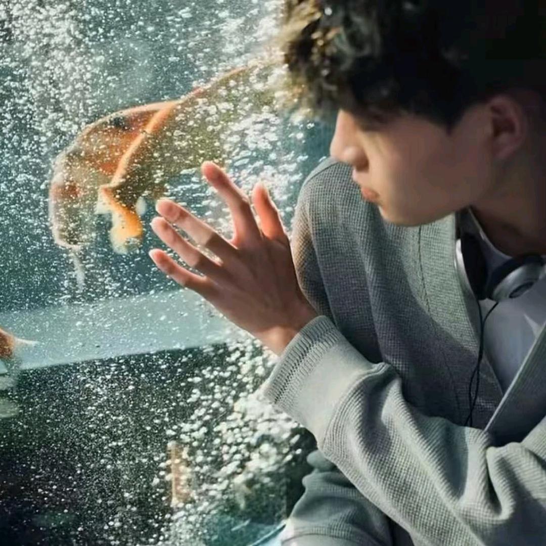 皮皮侠👿等168.6万人关注了你