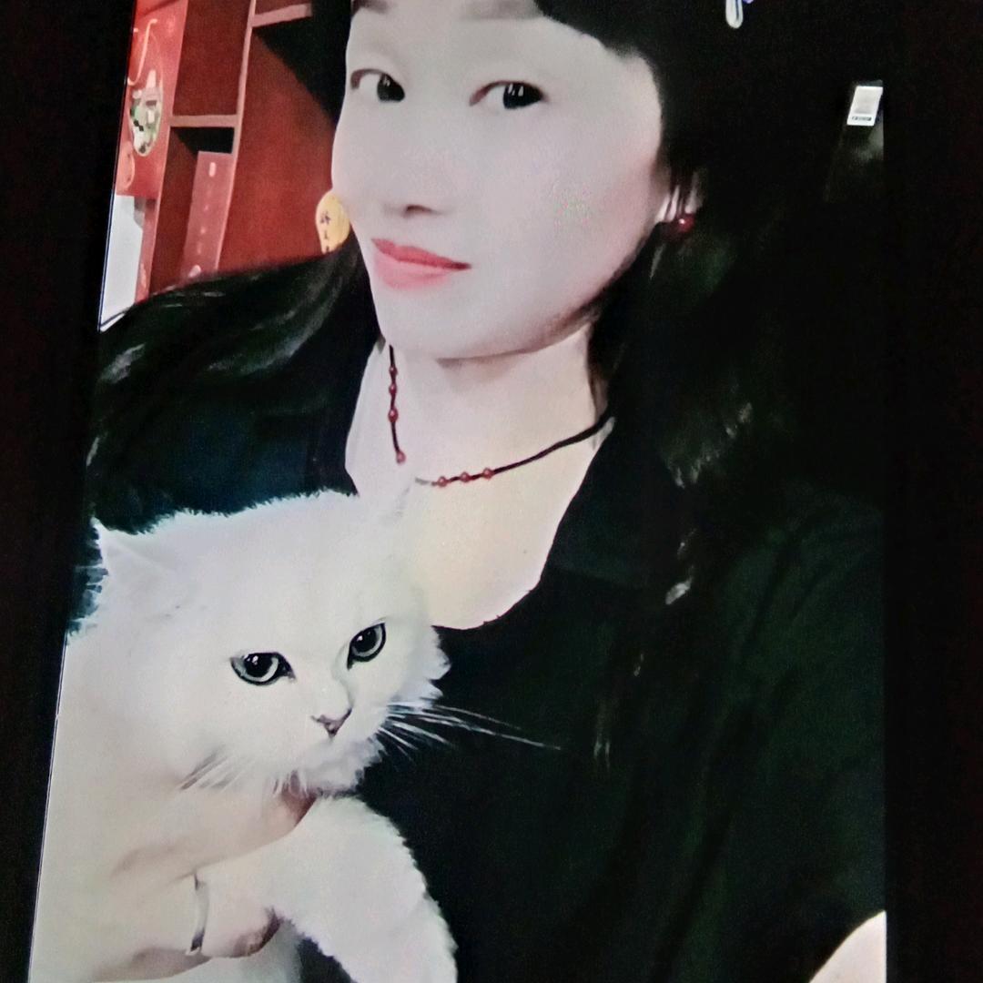 河南傻姐下午，5..30.开播小号